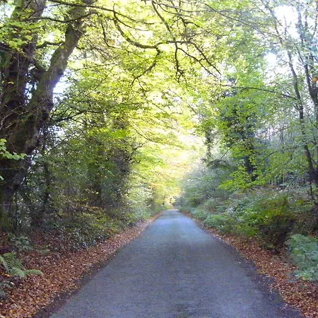 Sunrise 4* Mountshannon